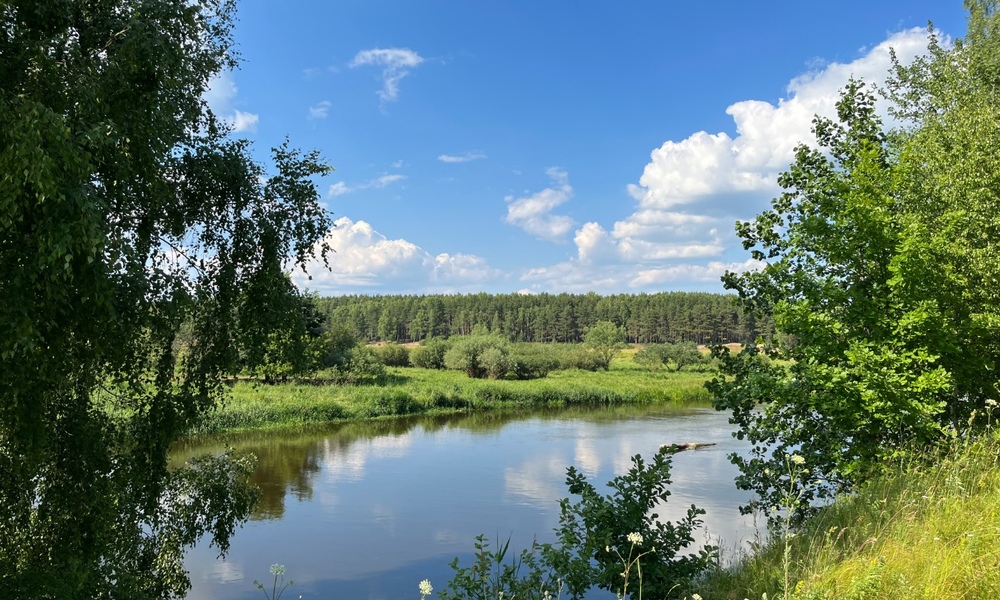 Заголовок